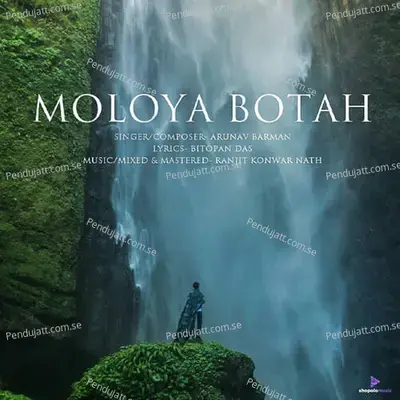 Moloya Botah - ARUNAV BARMAN album cover 