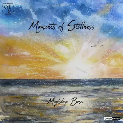 To Say - Meghdeep Bose album cover 