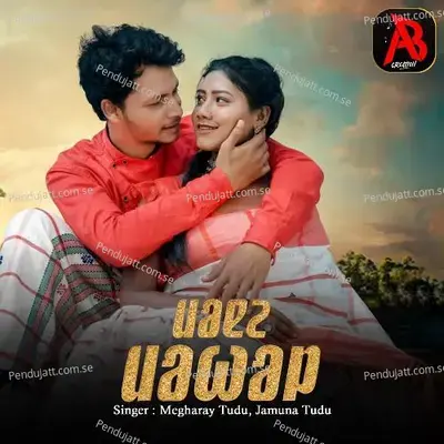 Mone Mohol - Megharay Tudu album cover 