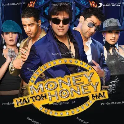 Money Hai Toh Honey Hai - Nitz N Sony album cover 