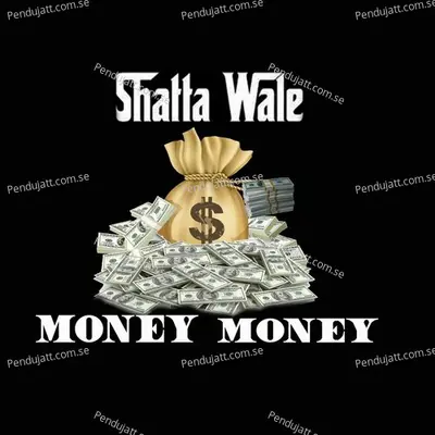 Money Money - Shatta Wale album cover 