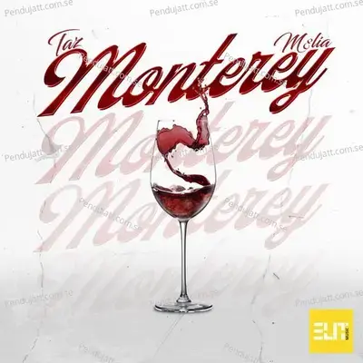 Monterey - Taz album cover 