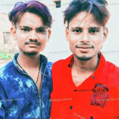 Monu Bhai Babai Raju Meena Gomladu - RAJU GOMLADU album cover 