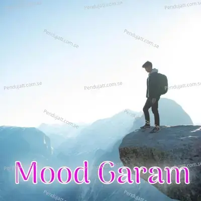 Mood Garam - Raj Meena cover album