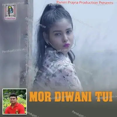 Mor Diwani Tui - Kamalesh Chakrabarty album cover 