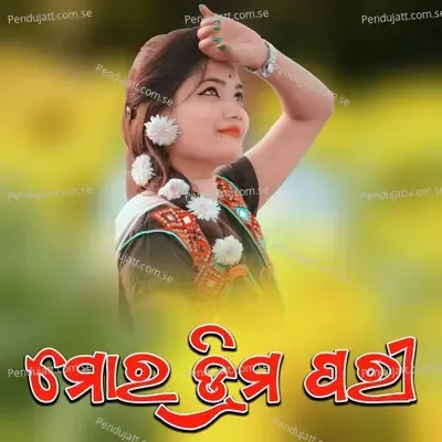 Mor Dream Pari - Nil Chhatria album cover 