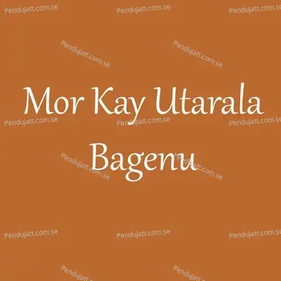 Mor Kay Utarala Bagenu - Parmesh Mali album cover 