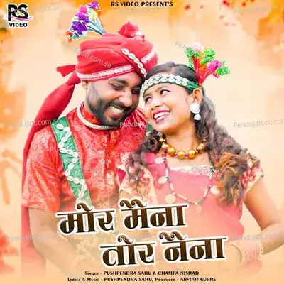Mor Maina Tor Naina - Pushpendra Sahu