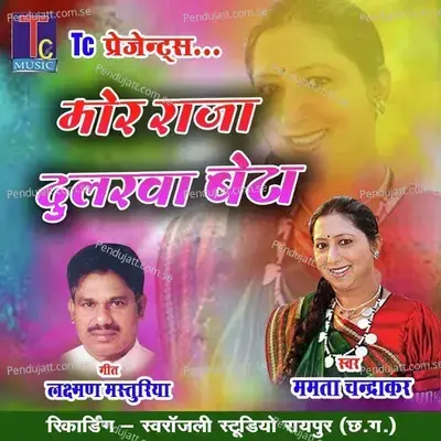 Mor Raja Dularwa Beta - Mamta Chandrakar album cover 