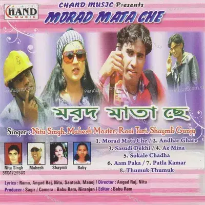 Thumak Thumak - Neetu Singh album cover 