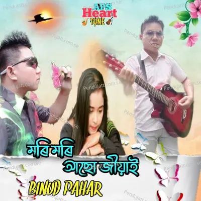 Mori Mori Aso Jiyai - Binud Pahar album cover 