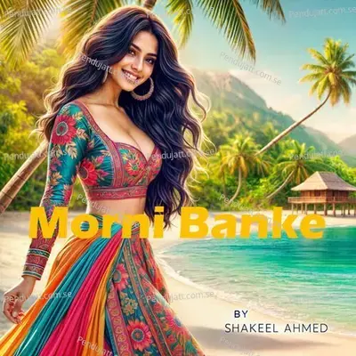 Morni Banke - Shakeel Ahmed album cover 
