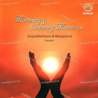 Morning   Evening Mantras - Dr.R. Thiagarajan cover album