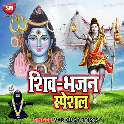 Sab Kahe La Aughar Dani - Chhotu Chhaliya album cover 