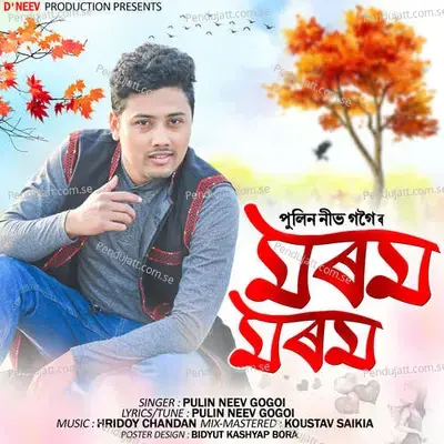 Morom Morom - Pulin Neev Gogoi album cover 