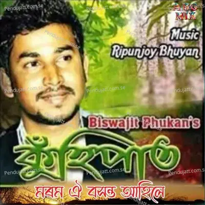 Morom Oi Basanta Ahile - Biswajit Phukan album cover 