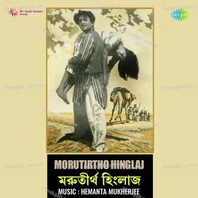 Instrumental - Morutirtha Hinglaj - Master Shamik album cover 