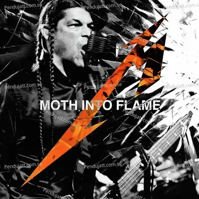 Moth Into Flame - Metallica album cover 