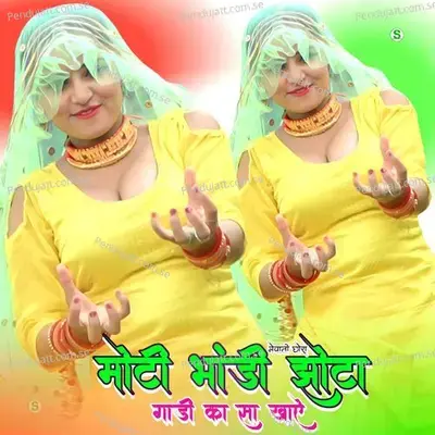 Moti Bhandi Jhota Gadhi Ka Sa Khay - Mewati Chhora album cover 