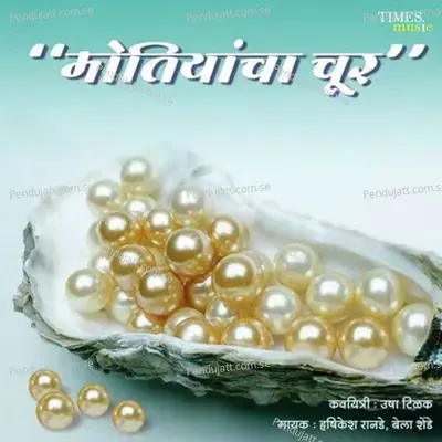 Dindi Nighe Pandharila - Ashish Mujumdar album cover 