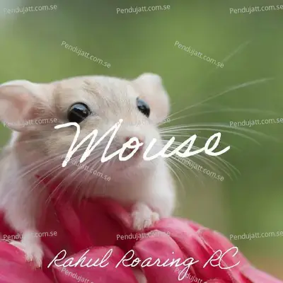 Mouse - Rahul Roaring RC album cover 