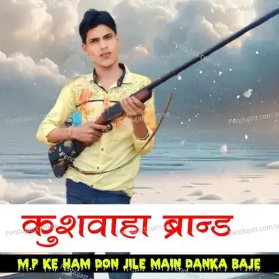 M.p Ke Ham Don Jile Main Danka Baje - Vijay Singh Saini album cover 