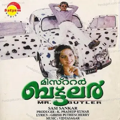 Raara Venu - Vidyasagar album cover 