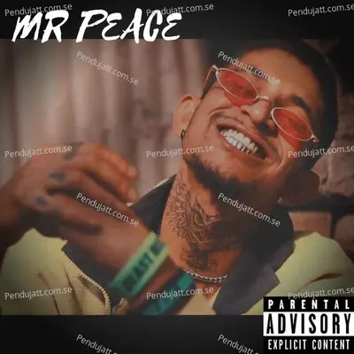 Mr Peace - MC THC album cover 