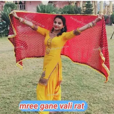 Mree Gane Vali Rat - Gurjar Rasiya album cover 