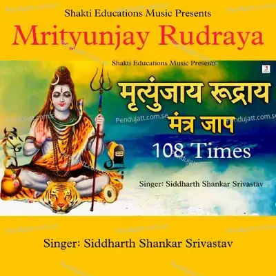 Mrityunjay Rudraya - Siddharth Shankar Srivastav album cover 