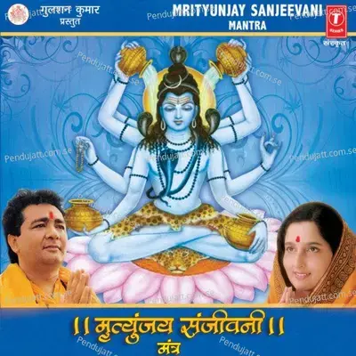 Om Mrutunjay Mahadev - Anuradha Paudwal album cover 