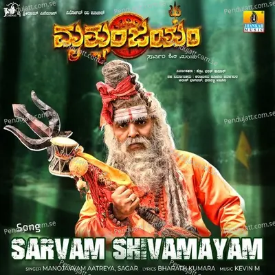 Sarvam Shivamayam - Kevin M album cover 