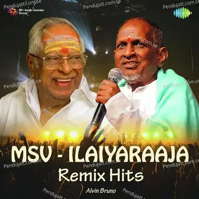 Chippi Erukkuthu - Remix - S. Janaki album cover 