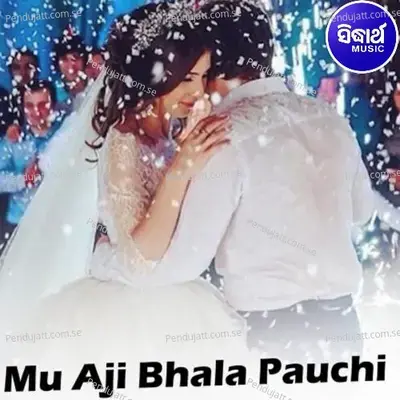 Jou Bate Chali Jaau - Shakti Mishra album cover 