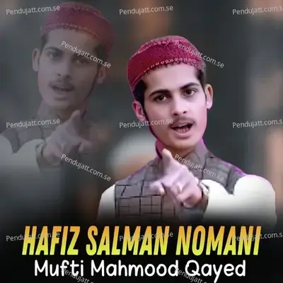 Mufti Mahmood Qayed - Hafiz Salman Nomani album cover 