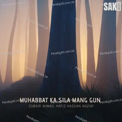 Muhabbat Ka Sila Mang Gun - Zubair Ahmad album cover 