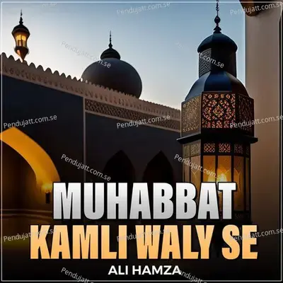Muhabbat Kamli Waly Se - Ali Hamza album cover 
