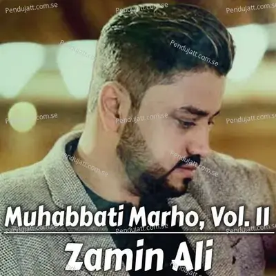 Muhabbati Marho  Vol  11 - Zamin Ali cover album