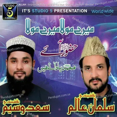 Muhammad Yaad Aatay Hain - Saad Waseem Naqshbandi cover album