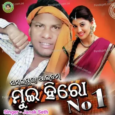 Mui Hero No 1 - Janak Seth album cover 