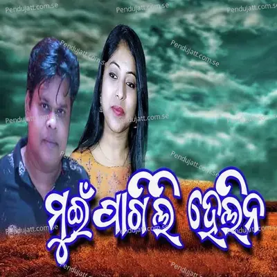 Mui Pagli Helina - Krish Kumar album cover 