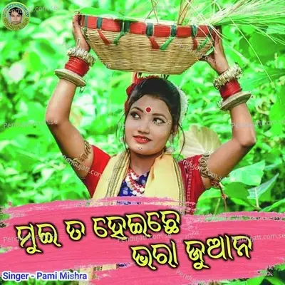 Mui Ta Heichhe Bhara Juana - Pami Mishra album cover 