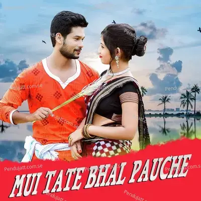 Mui Tate Bhal Pauche - DN Dhanus album cover 