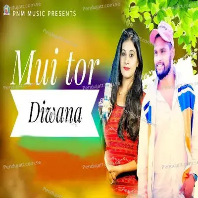 Mui Tor Diwana - Kundal K Chhura album cover 