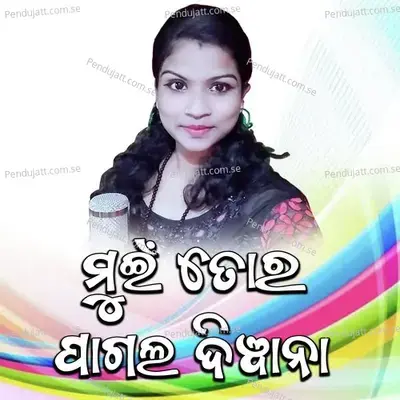 Mui Tor Pagal Diwana - Arti Kumbhar album cover 