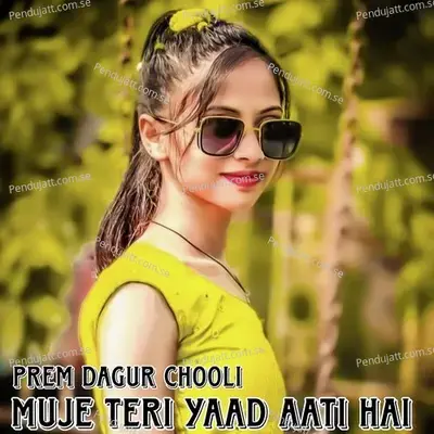 Muje Teri Yaad Aati Hai - PREM DAGUR CHOOLI album cover 