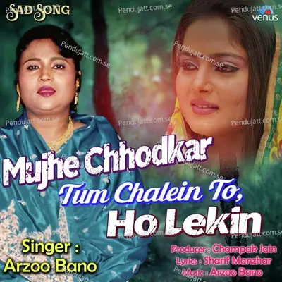 Mujhe Chhodkar Tum Chalein To Ho Lekin - Arzoo Bano album cover 