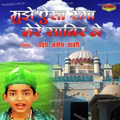 Mujhe Esa Ranga Mere Sabir Ne - Rais Anis Sabri album cover 