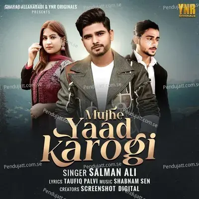 Mujhe Yaad Karogi - Salman Ali album cover 