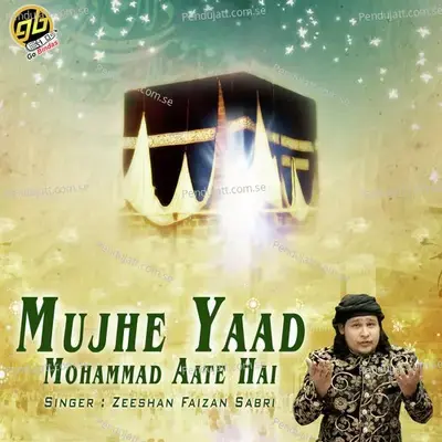 Jo Mangna Hai Manglo Mere Hussain Se - Zeeshan Faizan Sabri album cover 